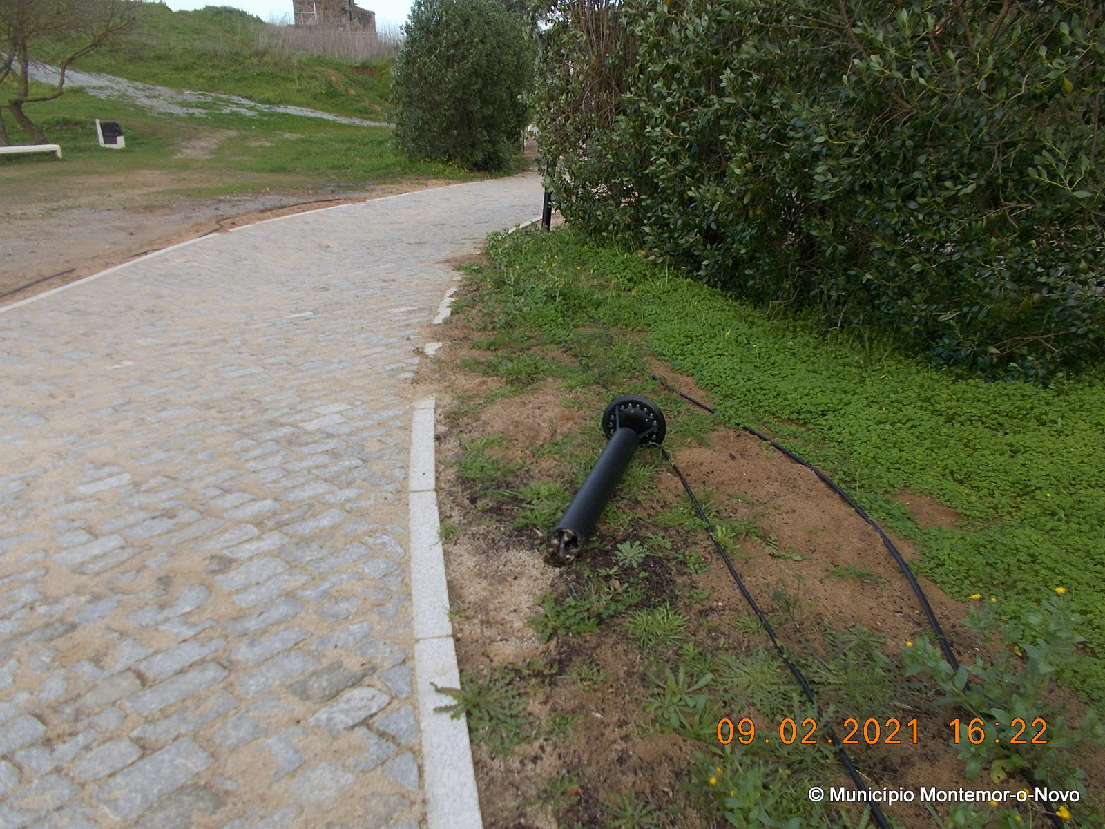 Sul Informação - Câmara de Montemor-o-Novo repudia vandalismo no Castelo