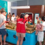 Sul Informação - Centro Ciência Viva do Algarve celebrou 25 anos em dia «repleto de atividades e novidades»