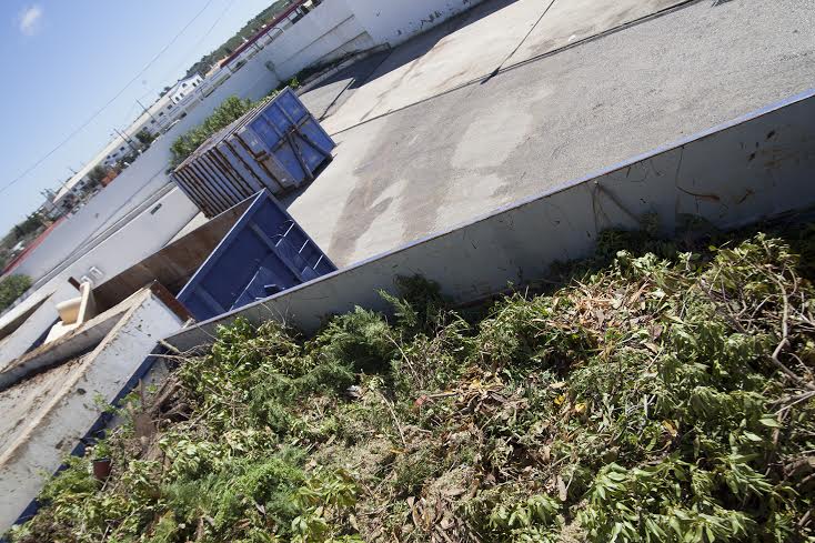 Sul Informação - Sucesso leva Lagoa a prolongar isenção de tarifa para depositar resíduos