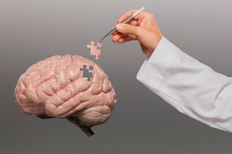 Sul Informação - “Café Memória” fala sobre doença de Alzheimer em São Brás