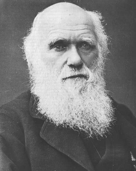 Sul Informação - Fluviário de Mora assinala Dia de Darwin