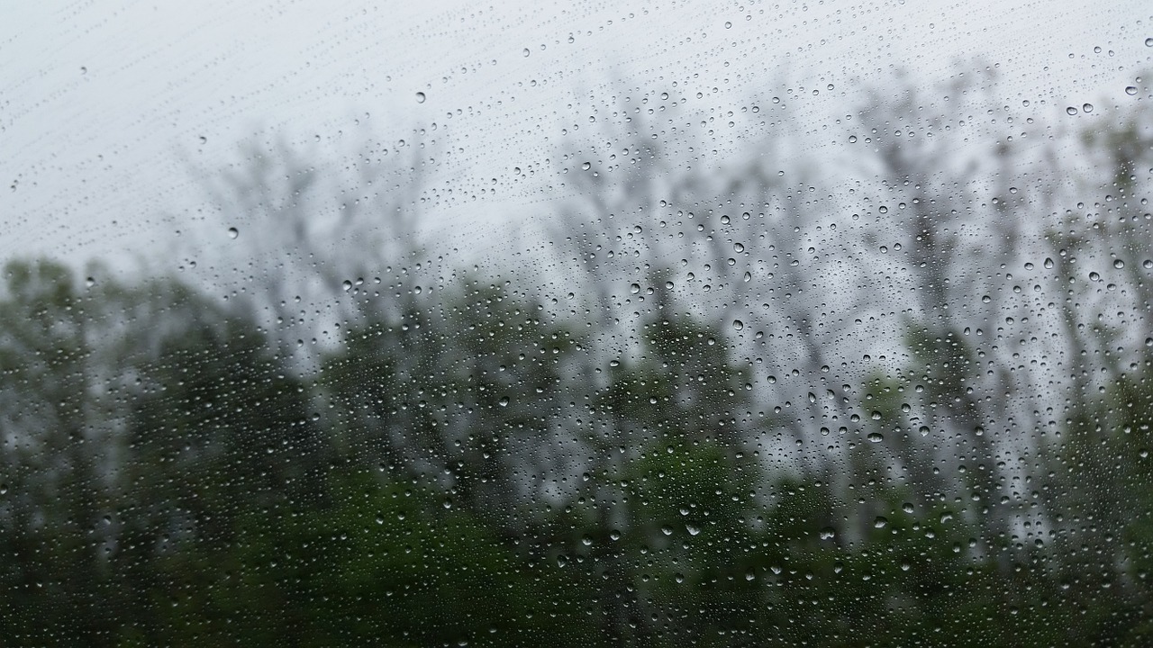 Sul Informação - Chuva regressa amanhã ao Algarve e vem para ficar