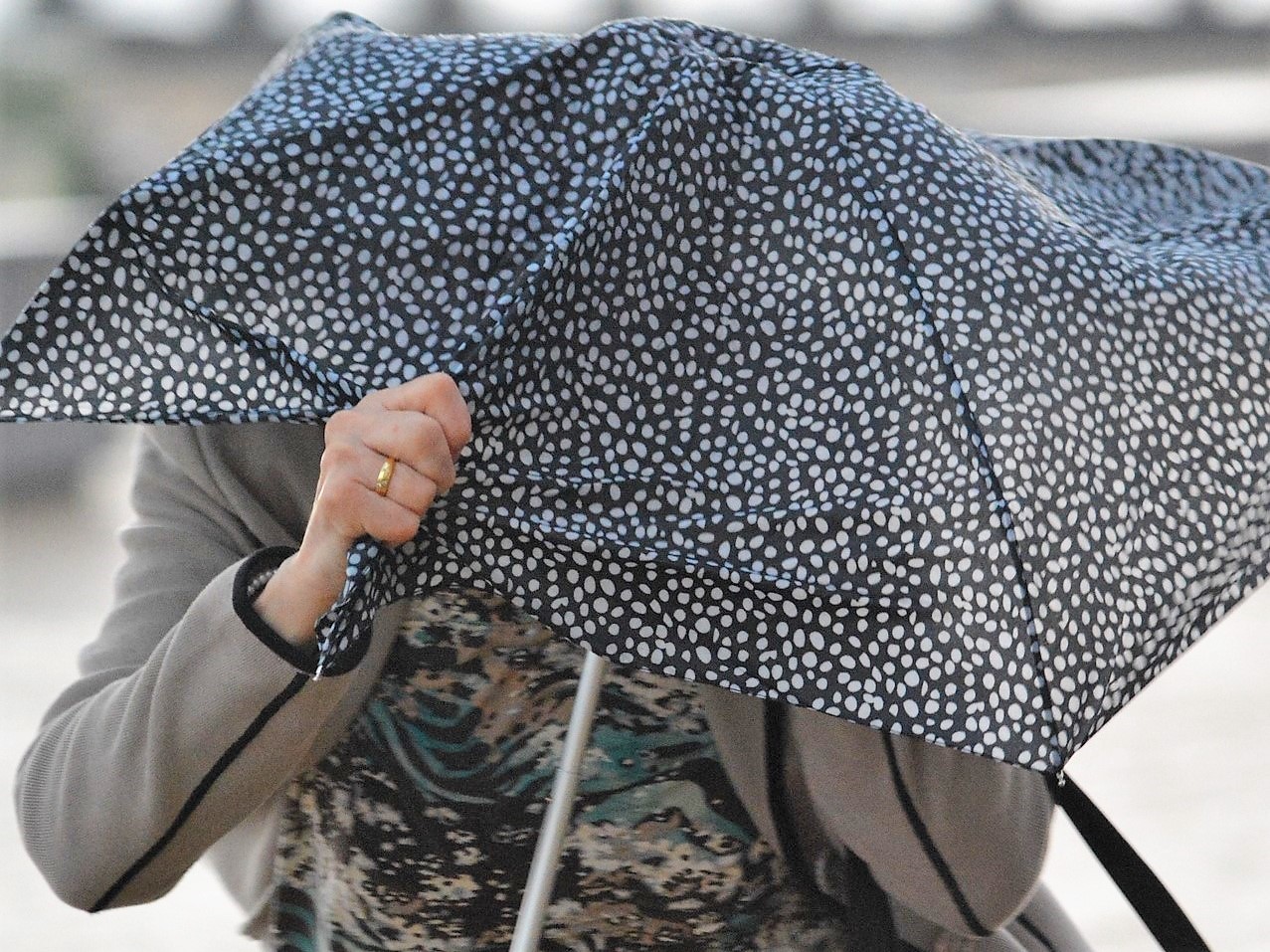 Sul Informação - Filomena traz chuva e vento forte ao Algarve (e talvez neve)