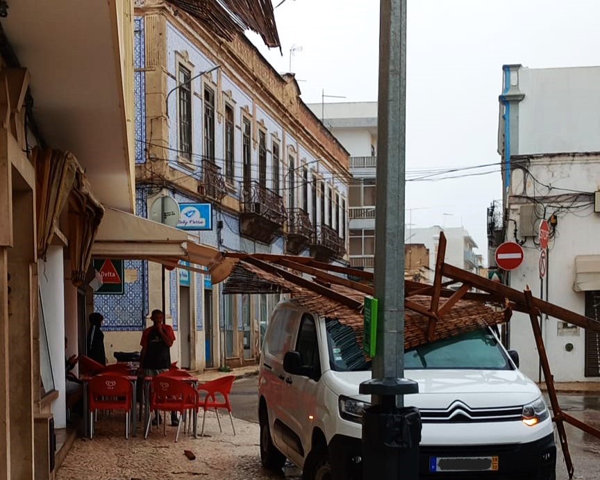 Sul Informação - “Aline” derruba 41 árvores e 12 estruturas em todo o Algarve