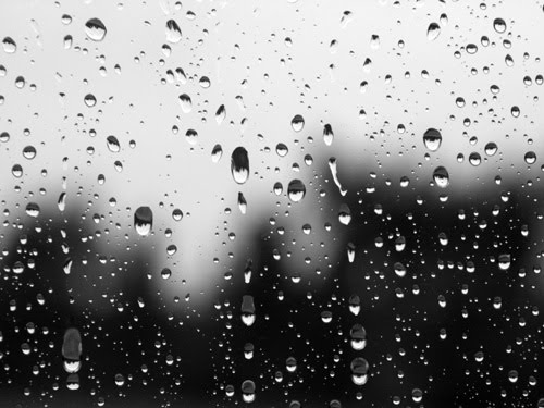 Sul Informação - Novo ano começa com chuva mesmo no Algarve