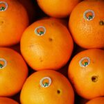 Sul Informação - Silves já é a capital da laranja do Algarve por três dias