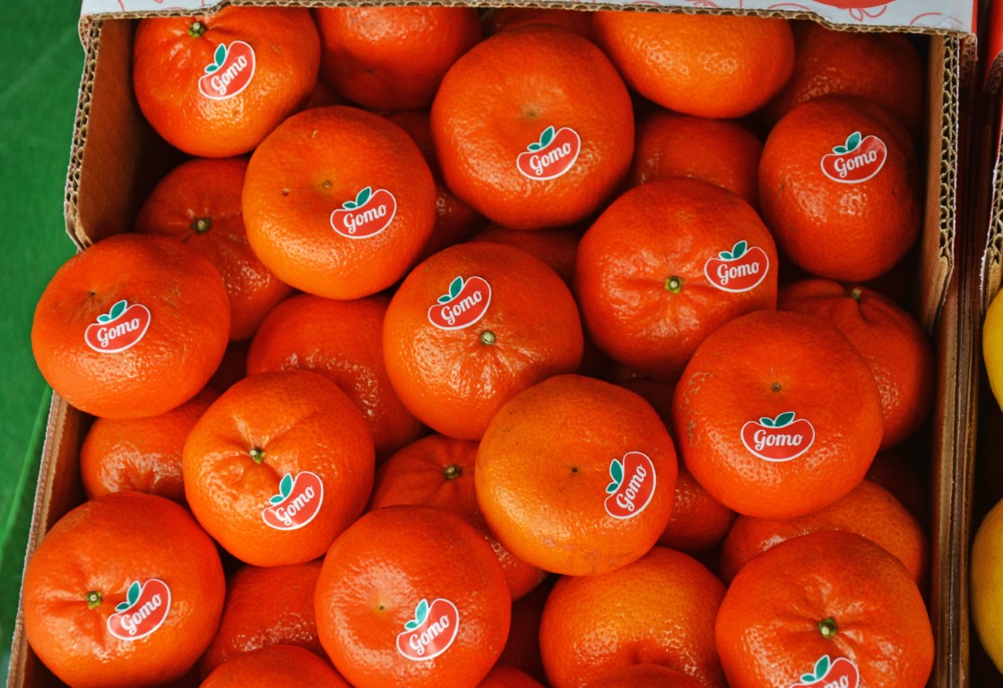 Sul Informação - Silves já é a capital da laranja do Algarve por três dias