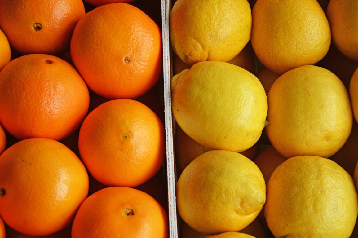 Sul Informação - NERA lança vídeo que promove oferta agroalimentar do Algarve