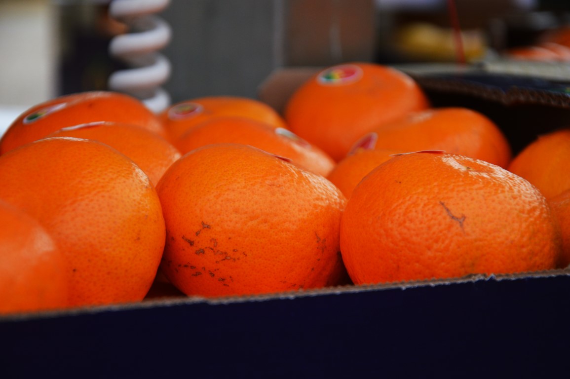 Sul Informação - Silves já é a capital da laranja do Algarve por três dias