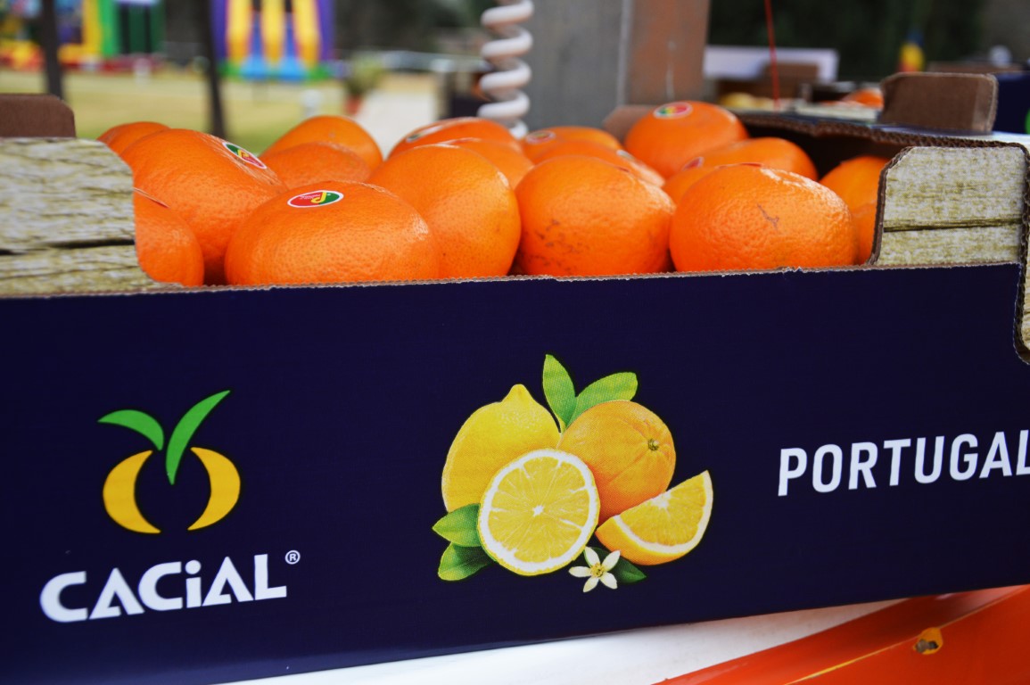 Sul Informação - Laranja do Algarve volta às lojas após quebra de produção no Verão