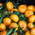 Sul Informação - Silves já é a capital da laranja do Algarve por três dias