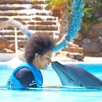 Sul Informação - Cláudia Semedo nadou com golfinhos no Zoomarine