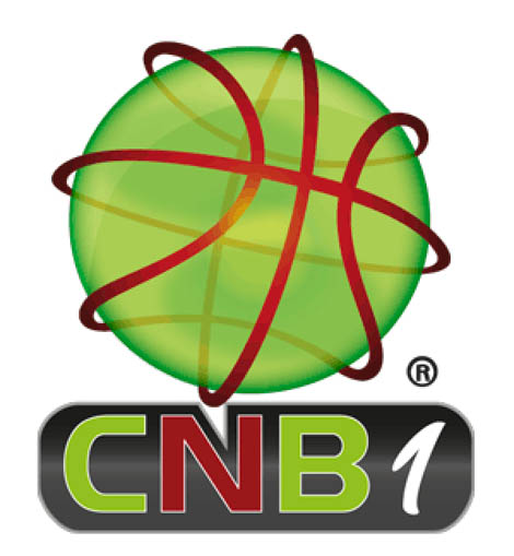 Sul Informação - Imortal sagra-se campeão nacional de basquetebol