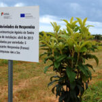 Sul Informação - DRAPAlg garante que estrada não afetará fruteiras do Centro Agrário de Tavira