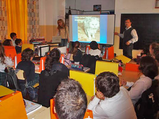 Sul Informação - Alunos de colégio de Lagos ajudam animais do Canil Municipal