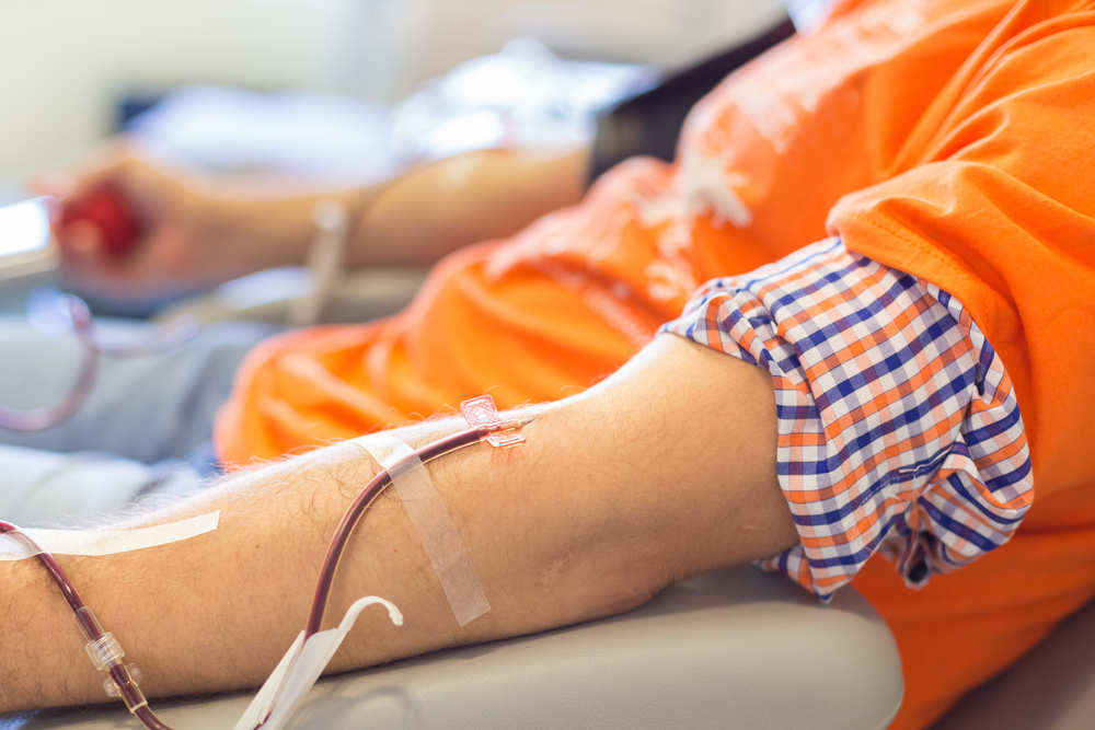 Sul Informação - Aljezur vai dar sangue