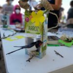 Sul Informação - Festival de Observação de Aves & Atividades de Natureza volta a Sagres em Outubro