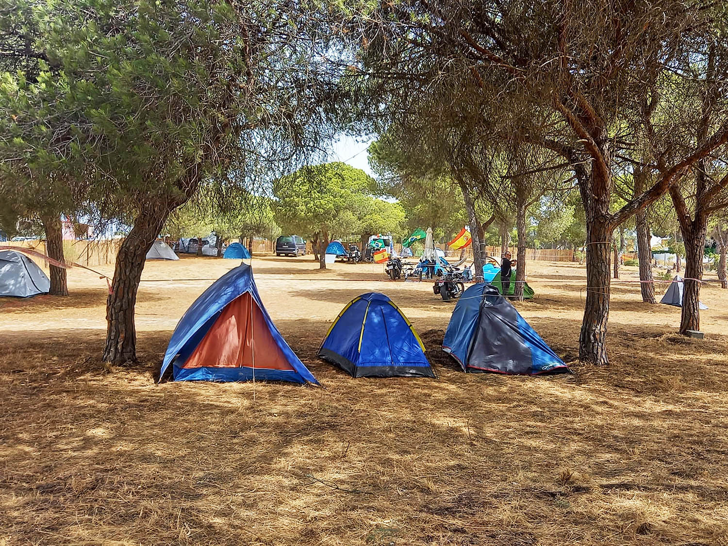 Sul Informação - Campistas mudam-se para que a Concentração Motard de Faro possa avançar