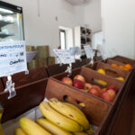 Sul Informação - Convento às portas de Lagoa transforma-se em “santuário” de produtos biológicos
