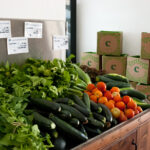 Sul Informação - Convento às portas de Lagoa transforma-se em “santuário” de produtos biológicos