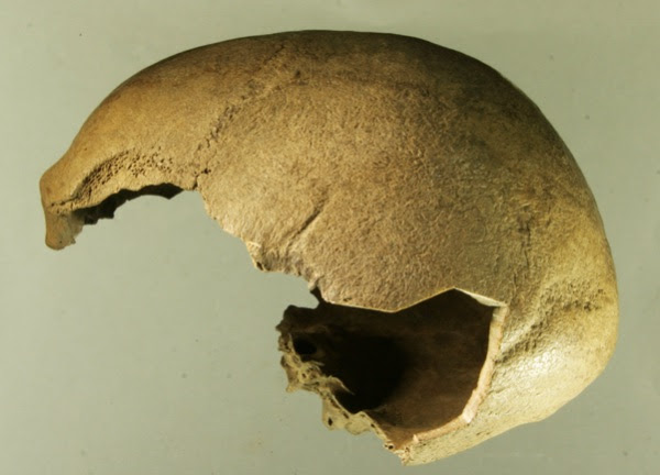 Sul Informação - Ocupação humana na Sibéria nos últimos 31 mil anos dá pistas para a Europa e América