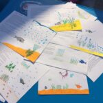 Sul Informação - Alunos foram à Culatra, visitaram a pradaria marinha e agora vão ilustrar um livro