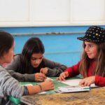Sul Informação - Alunos foram à Culatra, visitaram a pradaria marinha e agora vão ilustrar um livro