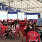 Sul Informação - Alunos foram à Culatra, visitaram a pradaria marinha e agora vão ilustrar um livro