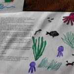 Sul Informação - Alunos foram à Culatra, visitaram a pradaria marinha e agora vão ilustrar um livro