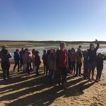 Sul Informação - Alunos foram à Culatra, visitaram a pradaria marinha e agora vão ilustrar um livro