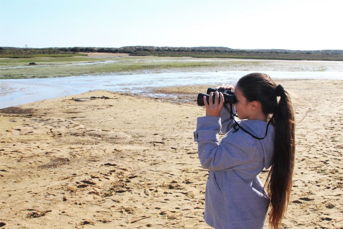 Sul Informação - Alunos foram à Culatra, visitaram a pradaria marinha e agora vão ilustrar um livro