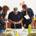 Sul Informação - QRER é poder dar futuro ao esparto