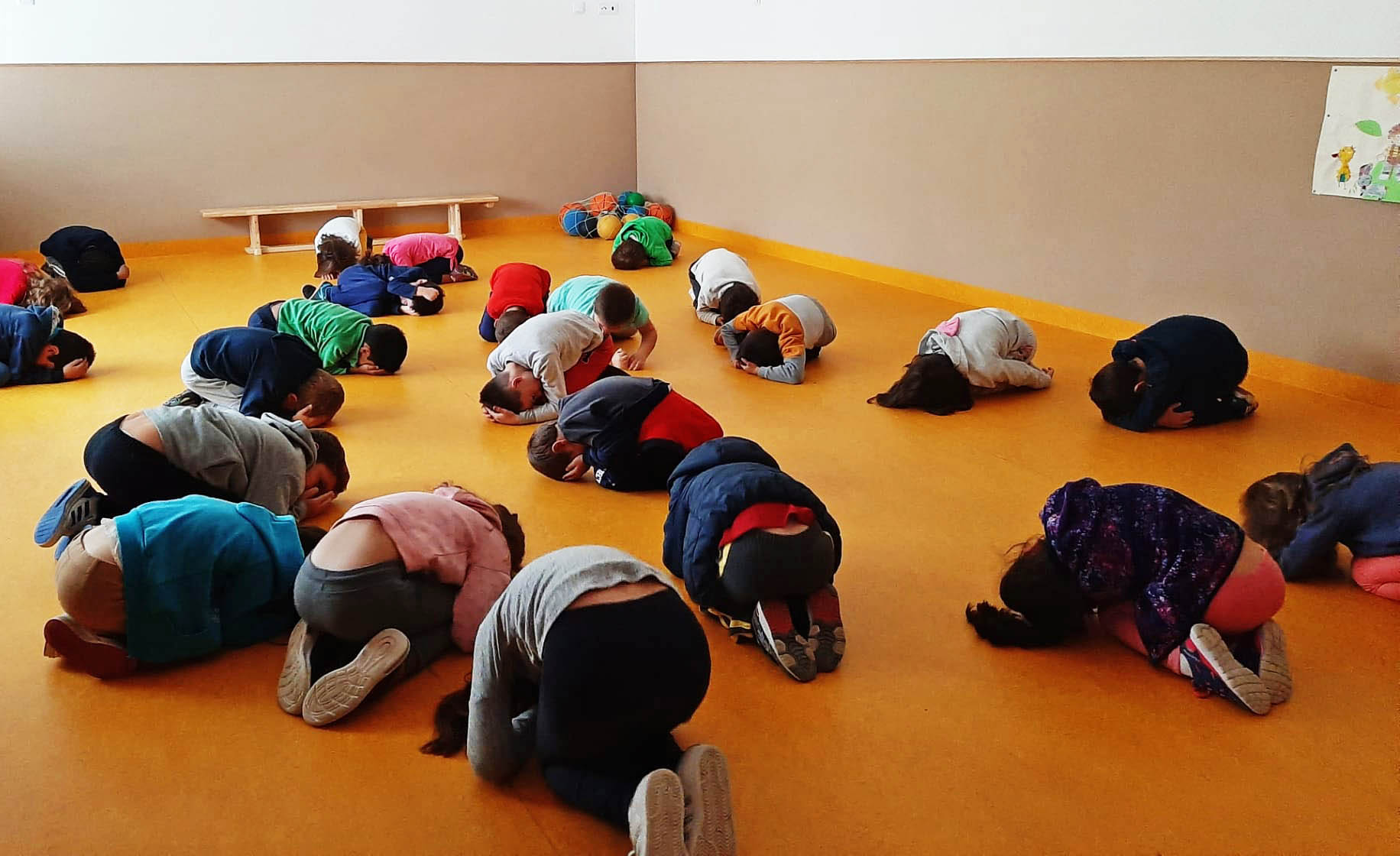 Sul Informação - Companhia de Dança Contemporânea de Évora trabalha com as escolas