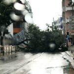 Sul Informação - Depressão Bernard: 61 ocorrências registadas no Algarve até às 15h00