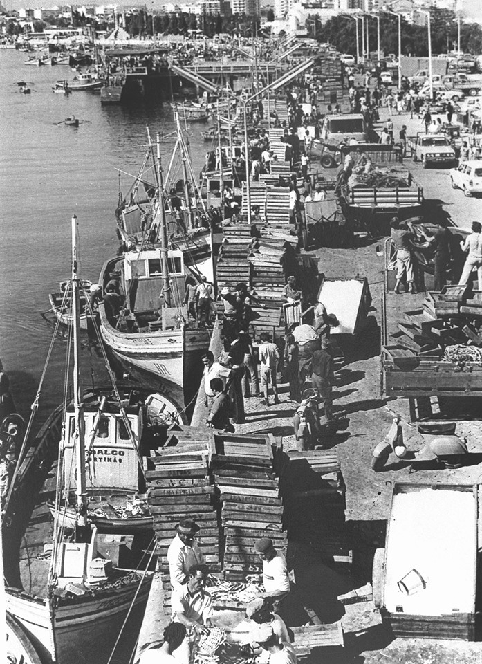 Sul Informação - Canastras cheias de sardinha voltam a voar no cais de Portimão