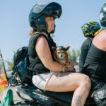 Sul Informação - Fotogaleria: Criatividade, animação e roncar de motores marcaram o até para o ano dos motards