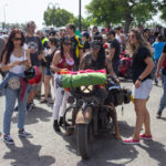 Sul Informação - Faro faz balanço «muito positivo» da 38ª Concentração Motard