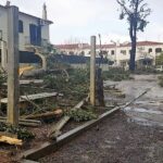 Sul Informação - Tornado arrancou árvores e destruiu telhados e automóveis em Altura [com fotos]