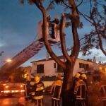 Sul Informação - Tornado arrancou árvores e destruiu telhados e automóveis em Altura [com fotos]