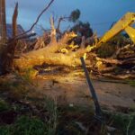 Sul Informação - Tornado arrancou árvores e destruiu telhados e automóveis em Altura [com fotos]