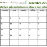 Sul Informação - Calendário quer incentivar o consumo de fruta