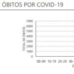 Sul Informação - Algarve tem 294 novos casos de Covid-19 e mais um óbito