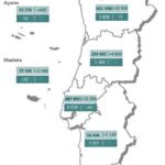 Sul Informação - Covid-19: Algarve tem 1241 novos casos, em Portugal há mais de 40 mil