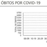 Sul Informação - Algarve tem 25 novos casos de Covid-19, Portugal regista mais 776 recuperados