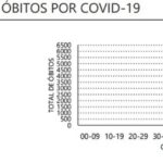 Sul Informação - Algarve regista mais um óbito e 259 novos casos de Covid-19