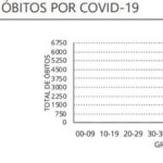 Sul Informação - Portugal sem novos óbitos por Covid-19 depois de muitos meses