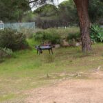 Sul Informação - Dia Aberto da Universidade do Algarve teve drone no céu e surf num ginásio