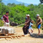 Sul Informação - Crianças e adultos viajaram no tempo até à Pré-História em Alcalar