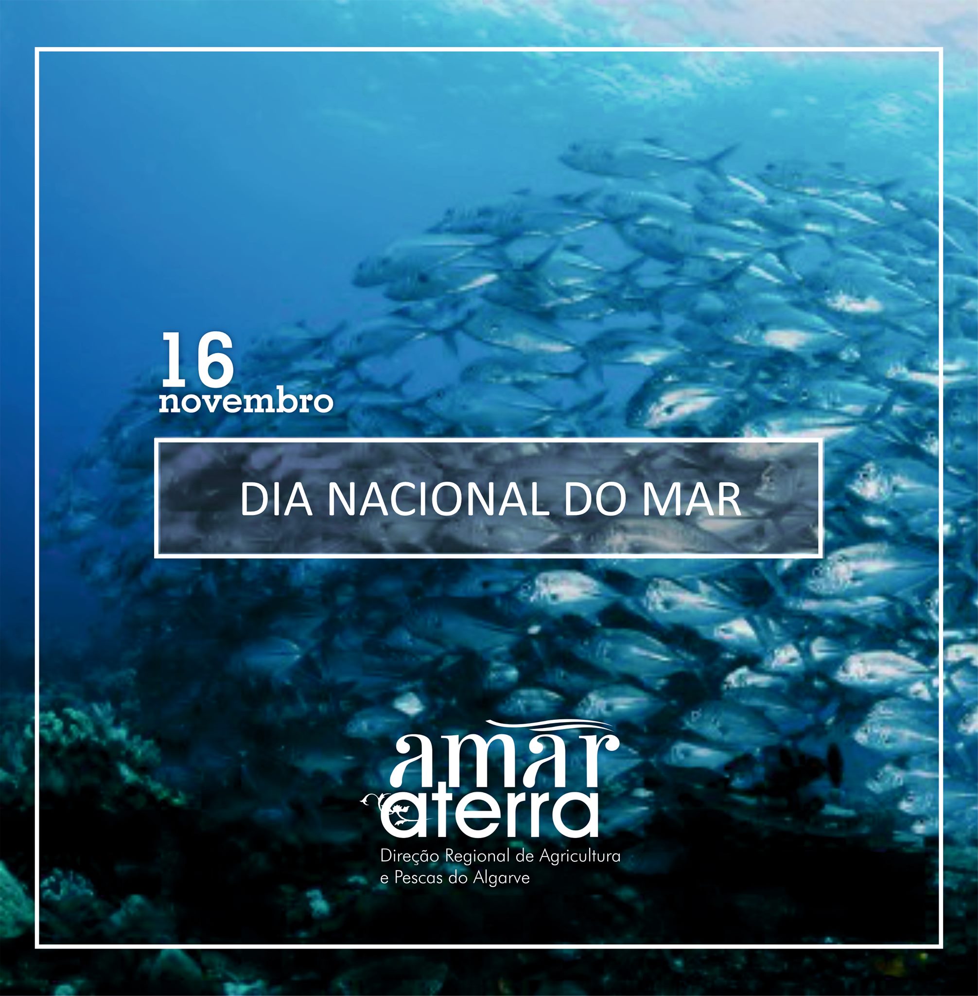 Sul Informação - Direção Regional de Agricultura e Pescas relembra «importante contributo» no Dia Nacional do Mar