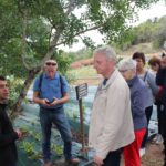 Sul Informação - No meio da serra, empresa «Dias de Aromas» promove «um turismo de charme»